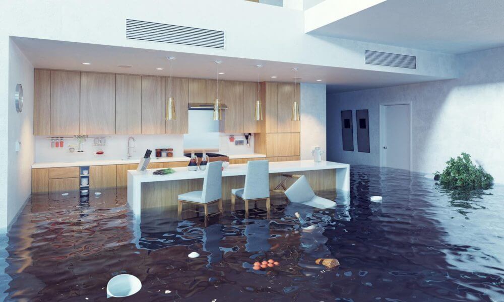 Essential Steps for Water Damage Claims: A Homeowner's Guide